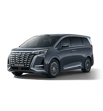 2025款宝马娱乐在线电子游戏D9